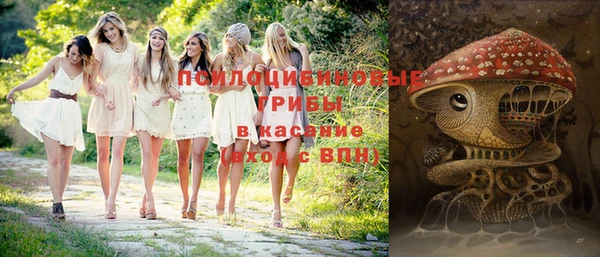 метамфетамин Богданович