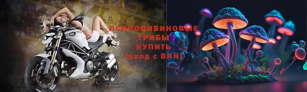 СК Богородицк