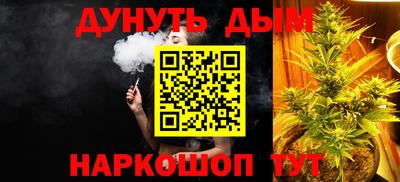 альфа пвп Новодвинск