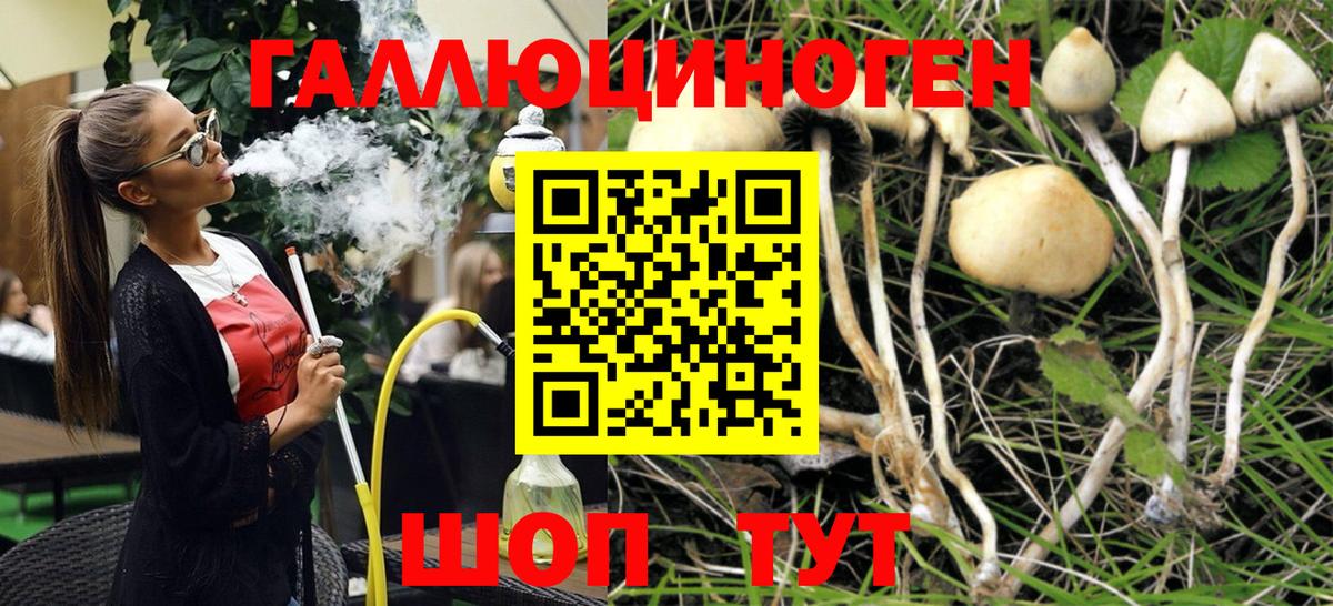 Псилоцибиновые грибы Cubensis Среднеуральск