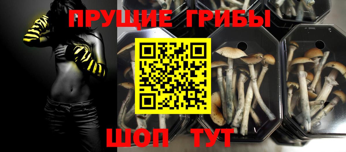 Псилоцибиновые грибы мицелий  Псилоцибиновые грибы Magic Shrooms  Вход с VPN  Среднеуральск 